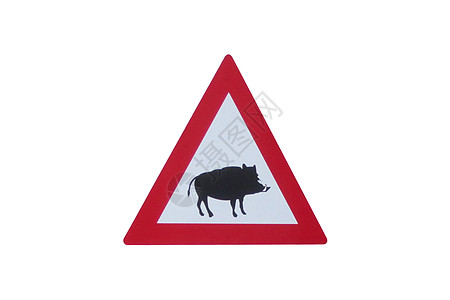 注意 - Boar - 在白色背景前的交通标志图片