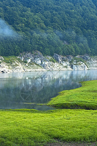 和湖木质图片