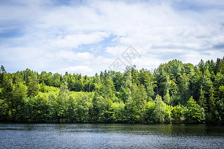 带绿树和蓝天空的湖泊风景图片