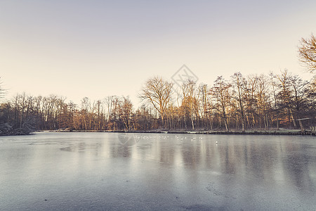 冬天冰冻湖周围的树木图片