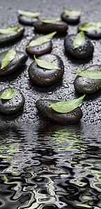 黑色石块和绿叶 被水滴覆盖涟漪温泉石板波浪风水按摩卫生卵石植物宏观图片