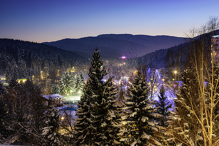 冬季森林新年的前夕背景图片