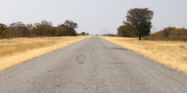 博茨瓦纳的Ashpalt公路沥青沙漠越野尘土风景汽车公园旅行坑洞白色图片