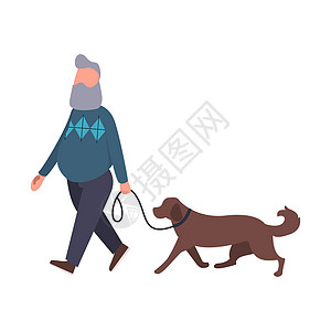 狗步行者在户外遛宠物 高级与拉布拉多漫步 卡通扁平人物 宠物散步服务概念艺术图片