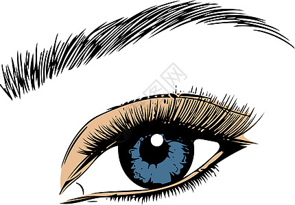 在白色背景上的眼睛 眼睛艺术 女人的眼睛 眼睛标志 眼睛艺术 人眼眼睛特写矢量测试眼妆眼科医生蓝色眼力彩妆蚀刻女性雕刻图片
