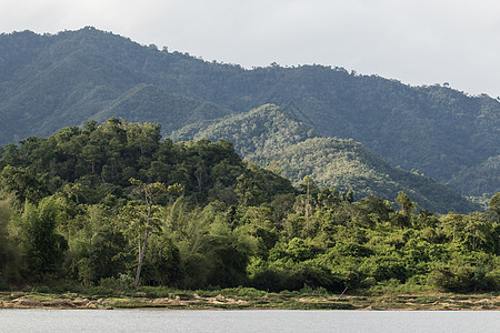 泰王国的林区绿色阳光环境日落森林蓝色公园山脉天空太阳图片