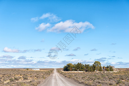 洛克斯顿和弗雷泽堡之间R356号公路上的农场景观风泵泥路阳光晴天蓝色农村谷仓衬套风车灌木图片
