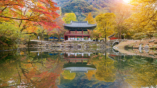 秋天的白阳萨寺 南朝鲜奈詹桑公园阳光树叶晴天国家季节叶子寺庙植物风景公园图片