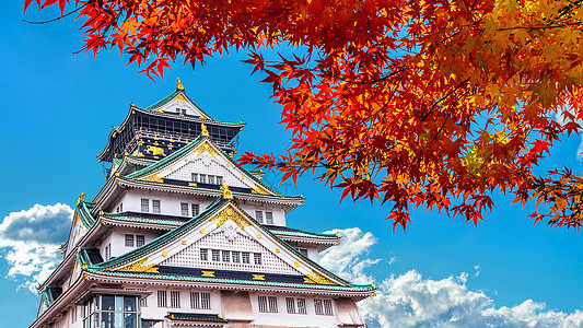 秋季和大阪城堡 在日本图片