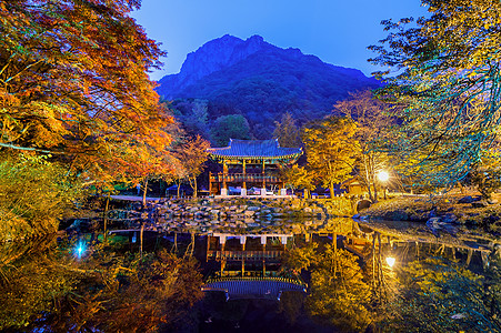 秋天的白阳萨寺 南朝鲜奈詹桑公园国家宝塔旅行叶子季节树叶晴天植物阳光寺庙图片