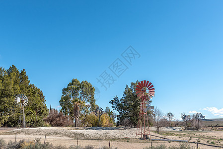 洛克斯顿和弗雷泽堡之间R356号公路上的农场景观风车风泵蓝色风景棕色农村衬套红色农业白色图片