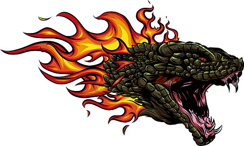 龙之首在火焰中燃烧愤怒绘画翅膀爬虫尾巴卡通片动物爪子神话攻击性图片