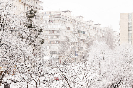 高楼背景下厚厚层积雪下的树木街道多层公寓院子天气分支机构住房庆典艺术太阳图片