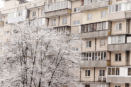 高楼背景下厚厚层积雪下的树木艺术广告多层房子城市街道玻璃庆典太阳院子图片