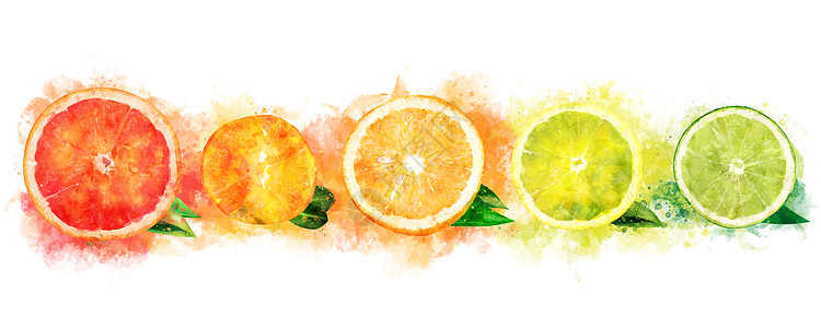 水颜色橙 柠檬 柑橘 芒达林 葡萄和石灰甜点橙子果汁徽章水彩食物斑点水果收成绘画图片