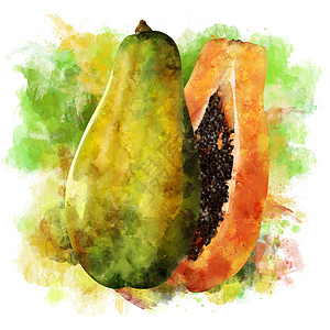 水彩画木瓜白背景的木瓜 水彩图绘画果汁厨房甜点蜜饯食物生态餐厅广告美食背景