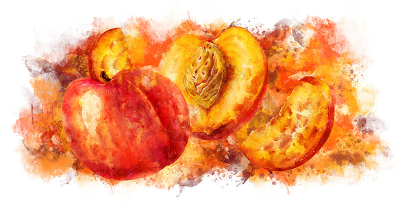 白色背景上的桃子 它制作水彩画收成食物果汁水彩徽章广告蜜饯插图餐厅生态图片