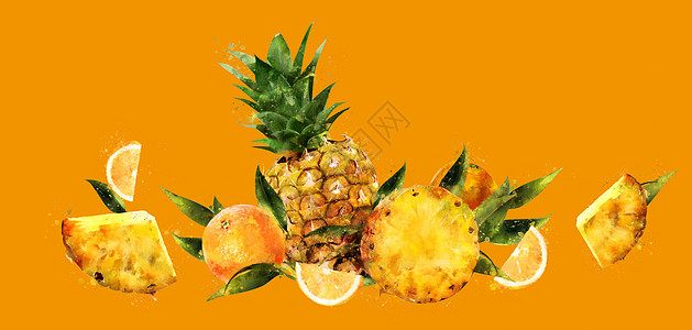 在橙色背景的菠萝 它制作水彩画松树美食绘画餐厅水彩插图厨房生态食物烹饪图片