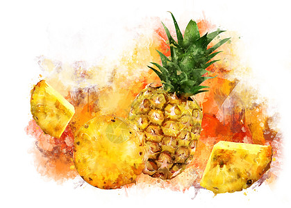 白色背景上的菠萝 它制作水彩画水彩蜜饯橙子餐厅绘画包装甜点徽章凤梨广告图片