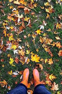 红色黄柳秋天背景的橡皮靴中双腿橡皮公园草地运动鞋植物场地橙子叶子花园鞋类图片
