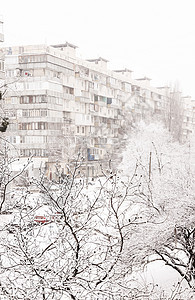高楼背景下厚厚层积雪下的树木庆典雪堆雪花多层霜冻阳台院子房子公寓房地产图片