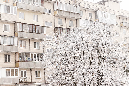 高楼背景下厚厚层积雪下的树木阳台墙纸多层雪花天气灌木丛新年分支机构雪堆城市图片