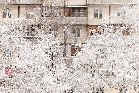 高楼背景下厚厚层积雪下的树木霜冻太阳房地产院子多层新年玻璃阳台雪堆分支机构图片