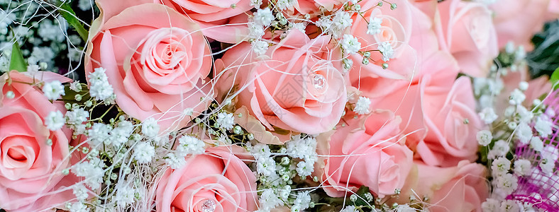 粉红玫瑰花团 带小卷头白色花朵花园花束绿色植物花瓣红色粉色玫瑰图片