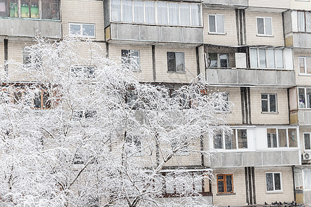 高楼背景下厚厚层积雪下的树木玻璃城市霜冻天气房地产多层新年房子雪花灌木丛图片