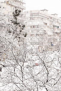 高楼背景下厚厚层积雪下的树木天气公寓多层雪花城市广告庆典院子新年阳台图片