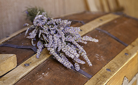 干薰衣草味道好叶子紫色蓝色卡片植物群药品花束木头花朵疗法图片