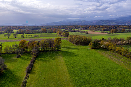 对东斯洛文尼亚农村的空中观察 包括田地 森林和对冲 树篱笆 稻草和草原草地原汁自然保护区生态航拍高原小路山坡土地风景图片
