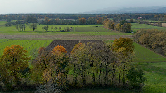 对东斯洛文尼亚农村的空中观察 包括田地 森林和对冲 树篱笆 稻草和草原牧场小路旅行土地航拍高原生态原味山坡自然保护区图片