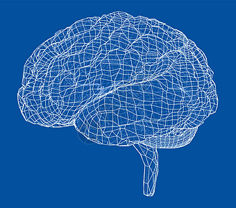 3D轮廓大脑 3d的矢量投影心理学智力神经小脑器官思考知识分子天才科学头脑图片