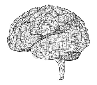 3D轮廓大脑 3d的矢量投影头脑记忆皮层智慧思考病学器官草图心理学艺术图片