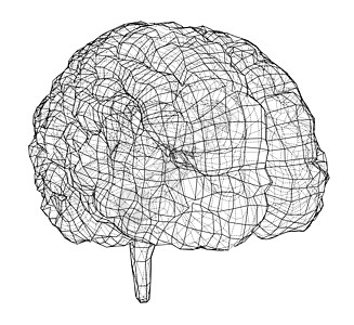 3D轮廓大脑 3d的矢量投影神经天才绘画心理学小脑病学科学智慧药品记忆图片