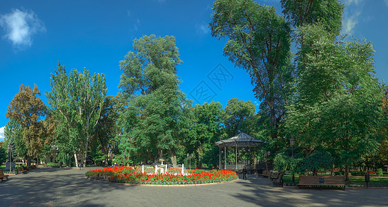 敖德萨城市花园全景城市树木狮子途径正方形孤独花儿天空喷泉路灯图片