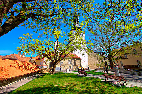 在爱沙尼亚的旅行阴影建筑学城市草地公园树叶石墙地标房子蓝色图片