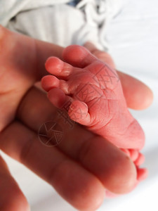 母亲小脚从两天前出生的新生儿中图片
