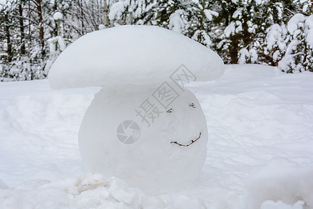 冬季森林 树林 雪图 雪人天气松树季节云杉积雪树木图片