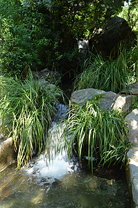 溪流串连成绿植物之间的池塘 公园为放松和冥想提供了舒适的景观衬套水池流动娱乐花瓣花园森林树叶小路园林图片