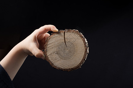 韩版小截木原木林业库存森林圆圈日志材料树桩木头松树木材背景图片