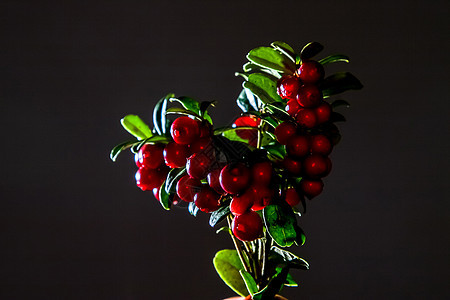 一堆灰色背景的红果浆绿色红色心形甜点食物树叶工作室叶子水果宏观背景图片