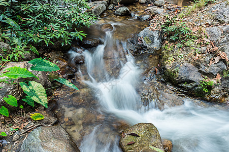 泰国兰芒省柴川瀑瀑自然公园 泰国瀑布白色岩石自然公园叶子森林木头公园商业小路图片