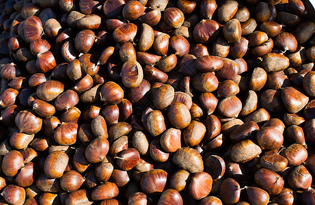 上百个贝壳的栗子在展出季节性坚果板栗水果季节食物宏观种子小吃团体图片