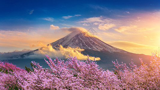 日本春天的藤山和樱花盛开观光旅行天际蓝色地标公吨节日季节天空游客图片