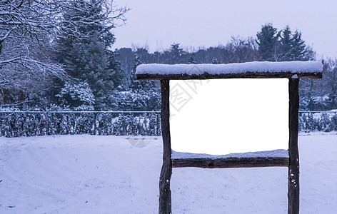 雪中 森林冬季 宣传广告牌上空的木板和空白的木纸广告板图片