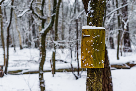 树上空白的空木纸牌 冬季森林景观 白雪风景(白色)图片