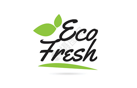 FRESH用于排版徽标的绿叶 Eco Fresh 手写文字文本设计图片