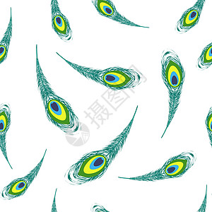 五颜六色的孔雀羽毛一套宏观眼睛装饰品动物野生动物风格插图绘画尾巴装饰图片